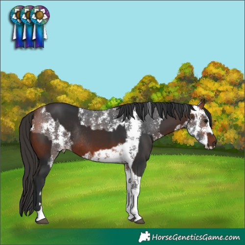 Horse Color:Brown Tobiano Rabicano  and Bay Sabino 