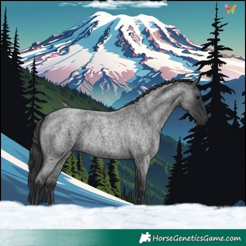 Horse Color:Blue Roan 