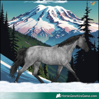 Horse Color:Blue Roan 