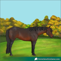 Horse Color:Brown 