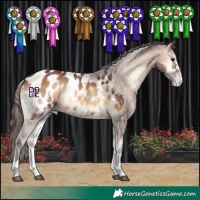 Horse Color:Bay Onyx Blanket 