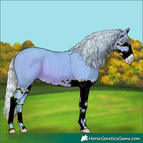 Horse Color:Watercolor Silver Brown Splash 