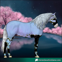 Horse Color:Watercolor Silver Brown Splash 