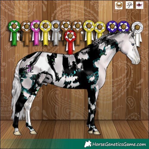 Horse Color:ERROR: UNKNOWN ANOMALY