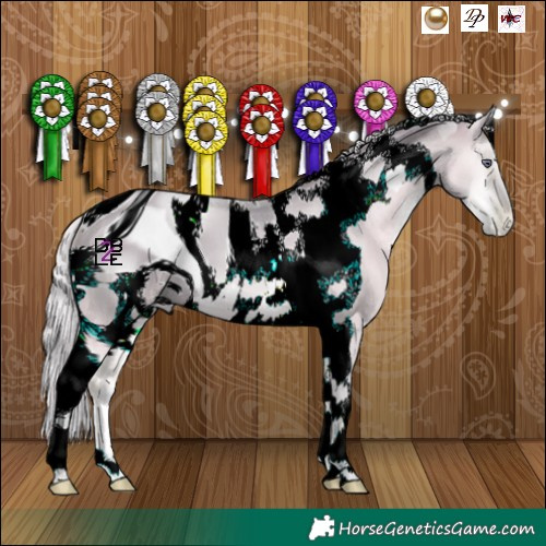 Horse Color:ERROR: UNKNOWN ANOMALY