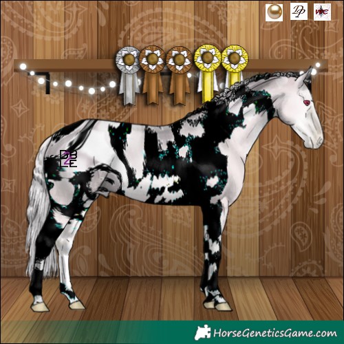 Horse Color:ERROR: UNKNOWN ANOMALY