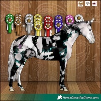 Horse Color:ERROR: UNKNOWN ANOMALY