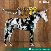 Horse Color:ERROR: UNKNOWN ANOMALY