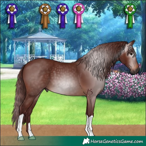 Horse Color:Gray Chocolate Bay 