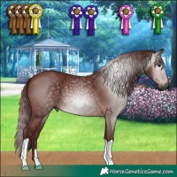 Horse Color:Gray Chocolate Bay 