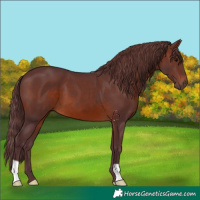 Horse Color:Chocolate Brown 