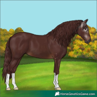 Horse Color:Gray Chocolate Brown 