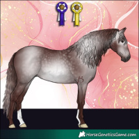 Horse Color:Gray Chocolate Black 