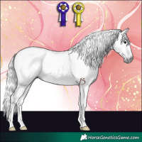 Horse Color:Gray Chocolate Black 
