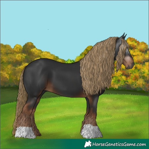 Horse Color:Gray Liver Chestnut