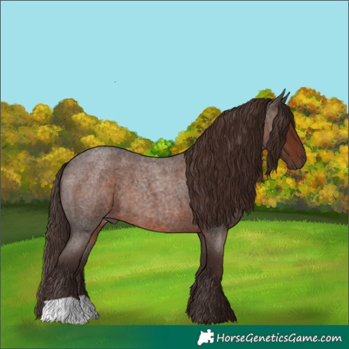 Horse Color:Liver Red Roan