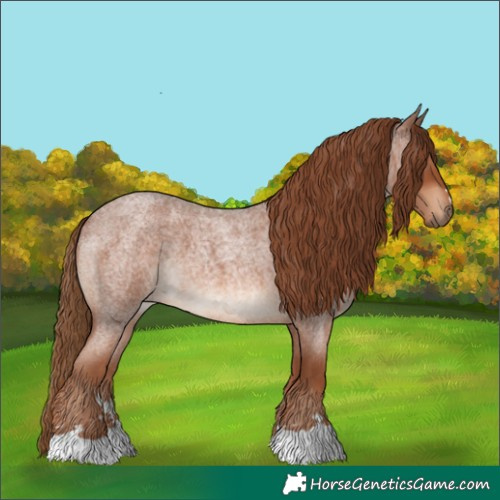 Horse Color:Red Roan