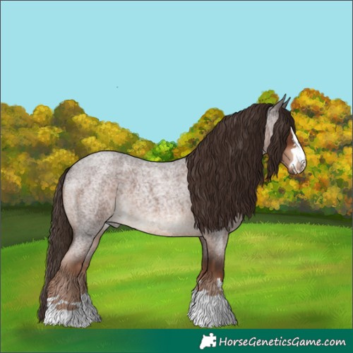 Horse Color:Liver Red Roan 