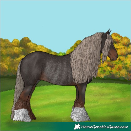 Horse Color:Liver Chestnut Rabicano