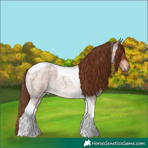 Horse Color:Red Roan Tobiano 