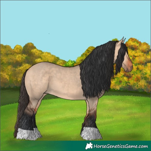 Horse Color:Bay Dun