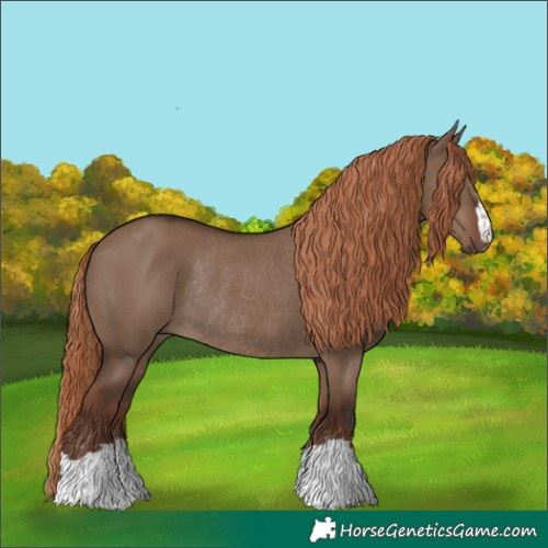 Horse Color:Liver Red Dun Rabicano