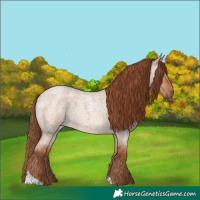Horse Color:Red Dun Roan