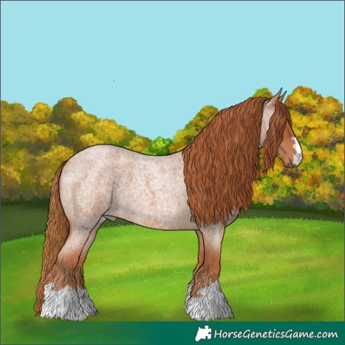 Horse Color:Red Roan