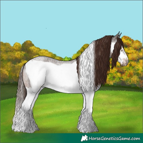 Horse Color:Liver Red Roan Splash Frame 