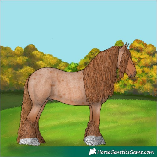 Horse Color:Red Roan 