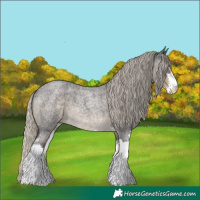 Horse Color:Silver Smoky Blue Roan Sabino