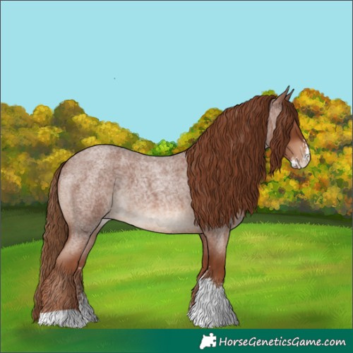 Horse Color:Red Roan Sabino