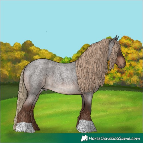 Horse Color:Liver Red Roan
