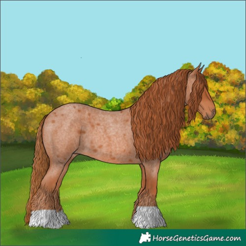 Horse Color:Red Roan