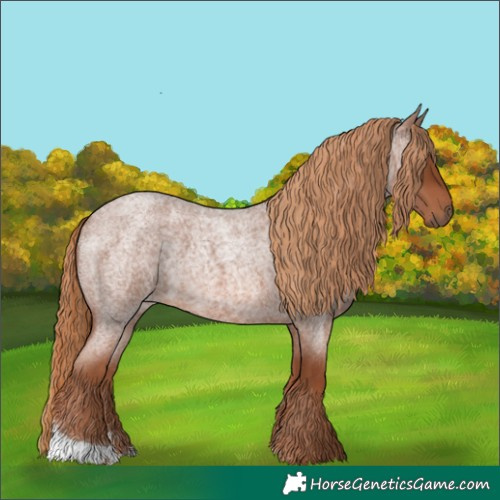 Horse Color:Red Roan 