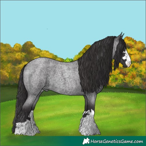 Horse Color:Smoky Blue Roan