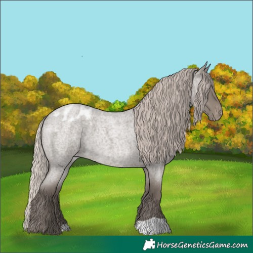 Horse Color:Silver Grullo Roan Varnish 