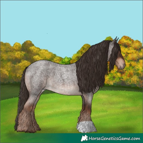 Horse Color:Liver Red Roan