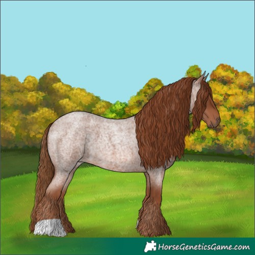 Horse Color:Red Roan