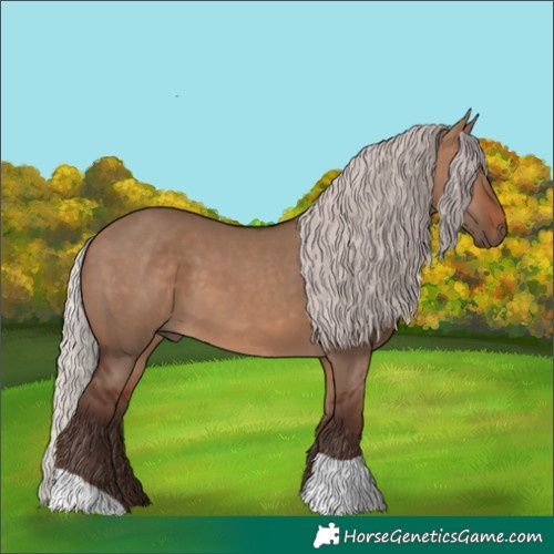 Horse Color:Silver Brown Dun