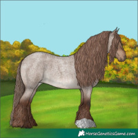 Horse Color:Liver Red Dun Roan 
