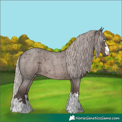 Horse Color:Silver Blue Roan
