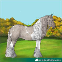 Horse Color:Silver Grullo Roan Tobiano 