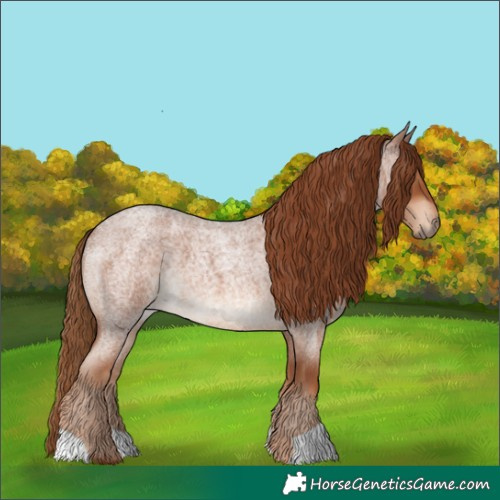 Horse Color:Red Roan 