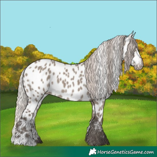 Horse Color:Silver Grullo Near Leopard 