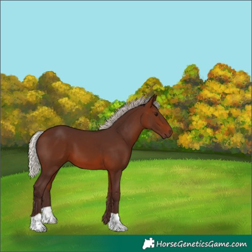 Horse Color:Silver Brown