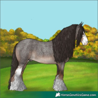 Horse Color:Liver Red Roan Sabino 