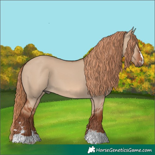 Horse Color:Red Dun 