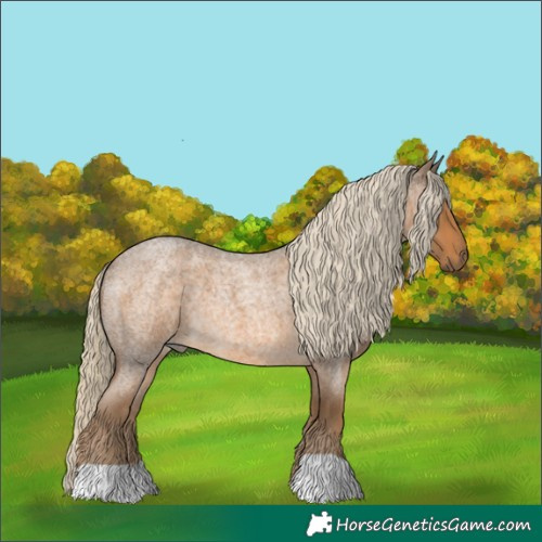 Horse Color:Chocolate Palomino Roan