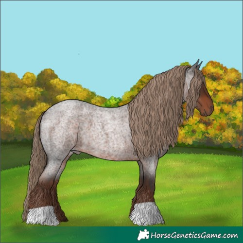 Horse Color:Liver Red Roan